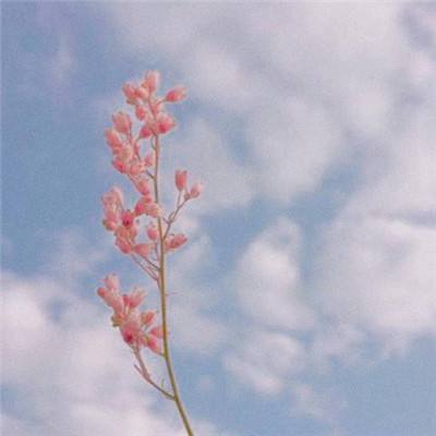 荥阳