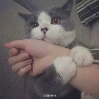 极限划艇
