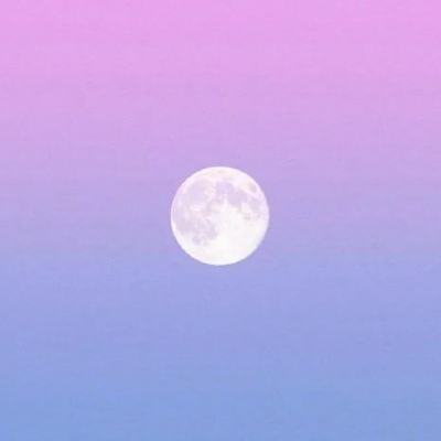 山花烂漫时