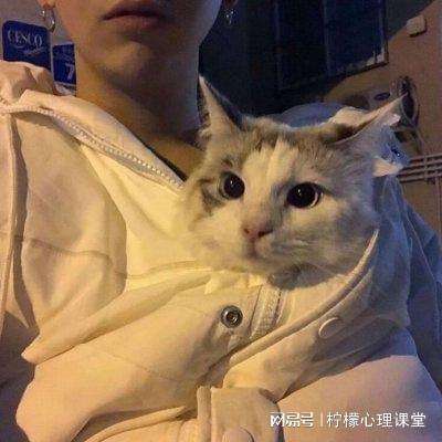 翻滚吧筋斗云