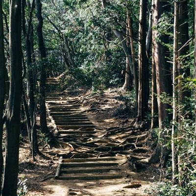 组装机械武士水龙
