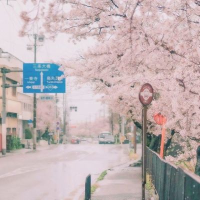 城市街道停车