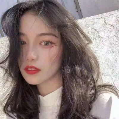 企鹅和秃鹫的竞赛