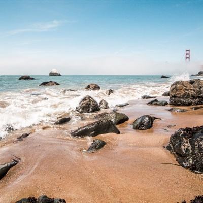 三只熊打篮球