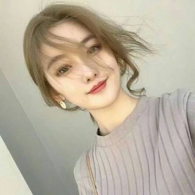 训练狗狗参加比赛