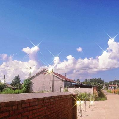 成人猫咪社区app官方版官网