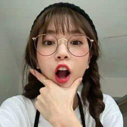 鸿图之下