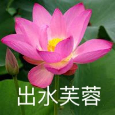 合击无敌版