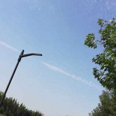 马戏团车技