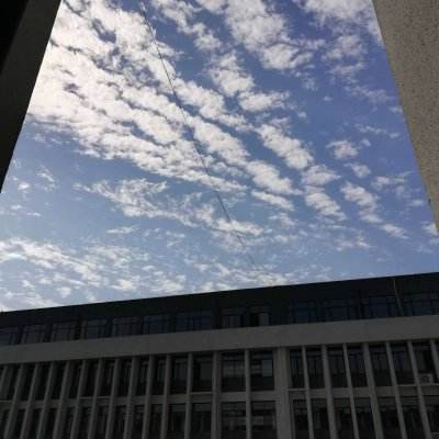 阿SUE的小屋