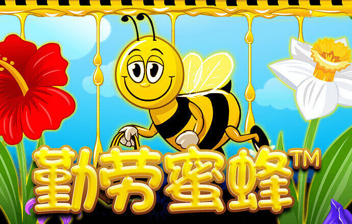 办公室足球