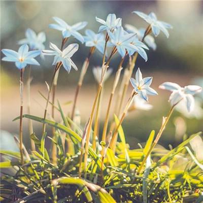 少年骇客花样滑板