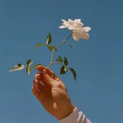 摩托杂技明星