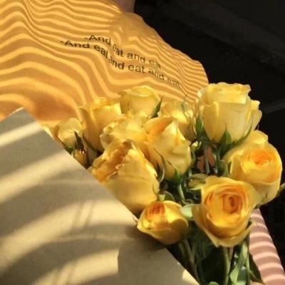 英孚康是罗克韦尔的替代品？不止如此