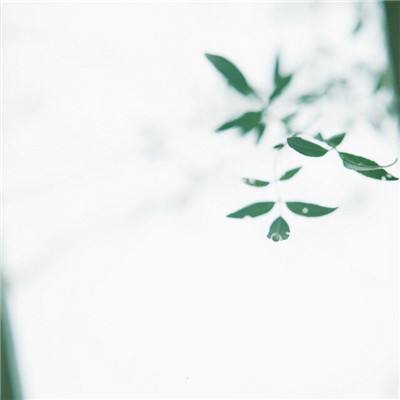“该做的已经做了” ，72岁李显龙卸任新加坡总理