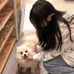 火柴人战争中文版